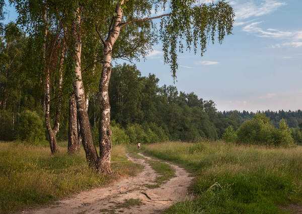 Pemandangan alam dengan laluan pejalan kaki yang tenang